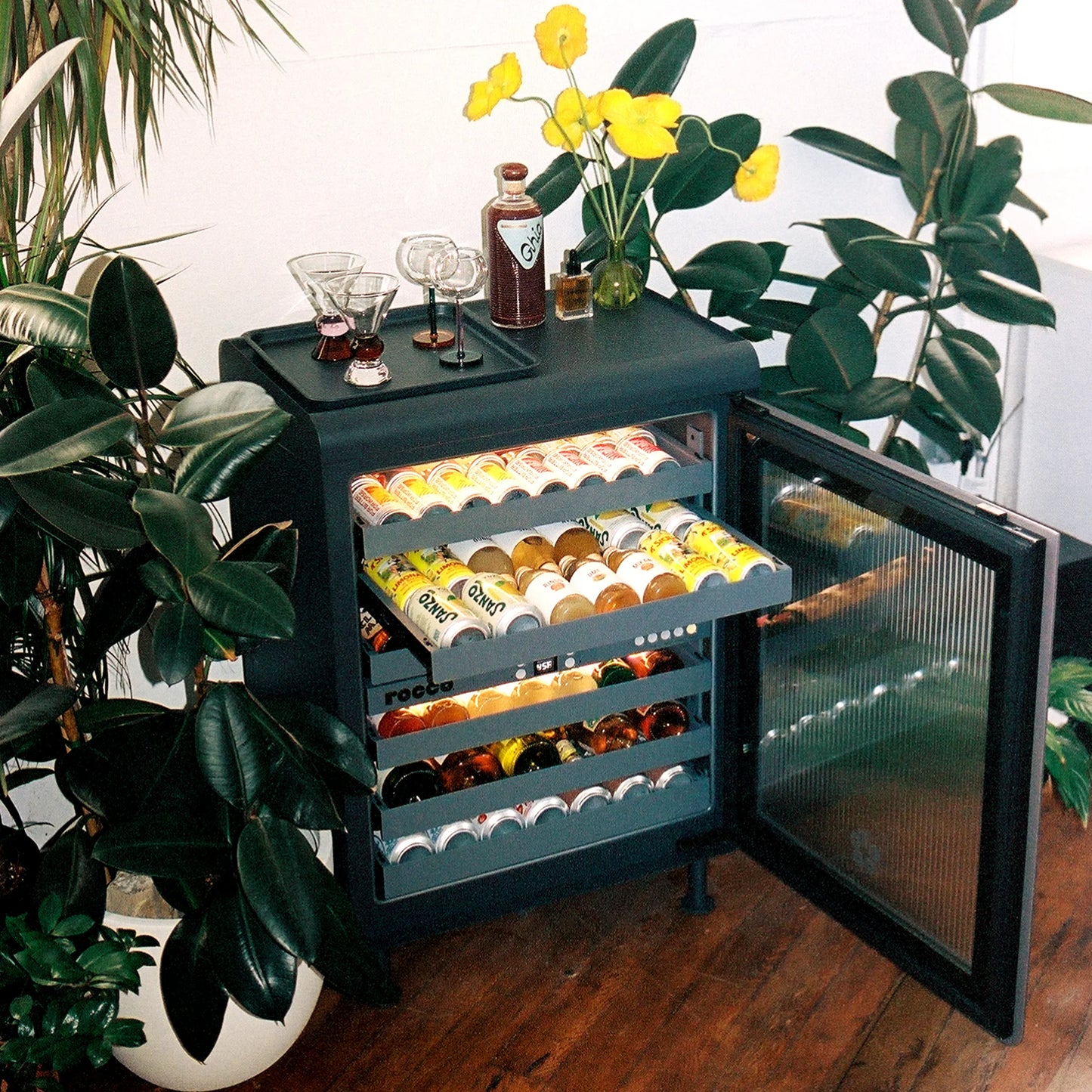 Rococ Living Room Fridge